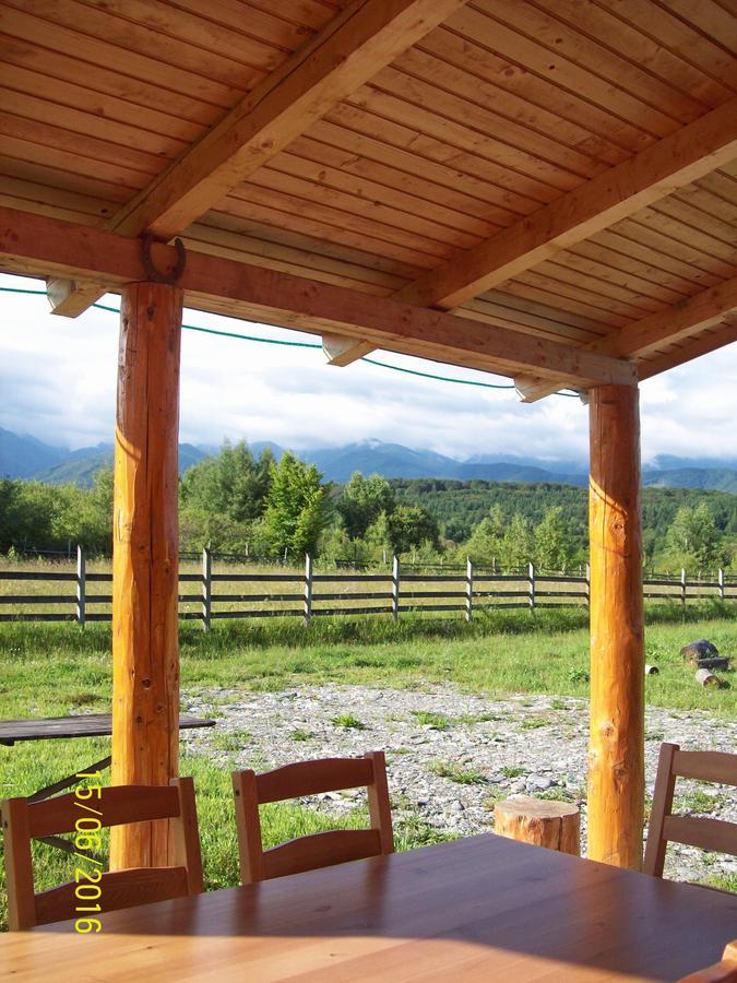 Musketeers Cabin 波卢巴库苏斯 外观 照片
