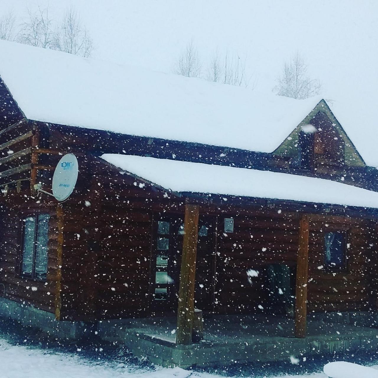 Musketeers Cabin 波卢巴库苏斯 外观 照片